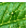 LinkIcon